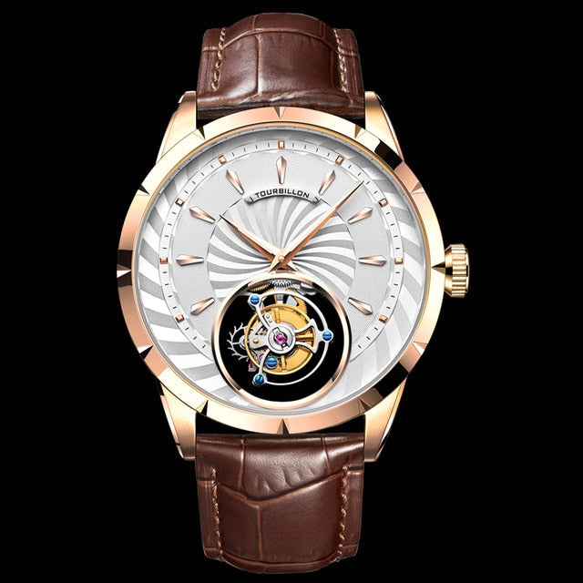 AESOP Tourbillon Watches Mans Mechanical Watch for Men Wristwatches Man Skeleton Male Clock Sapphire Mechanical Watch Luxury Men